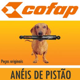 Aneis-de-Pistao-CBX200-050---Cofap