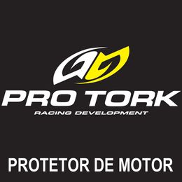 Protetor-de-Motor-XRE-300-Street---Pro-Tork
